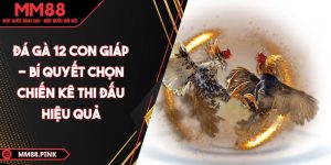 da-ga-12-con-giap